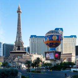 The prolonged road is listed with top reputed Hotels and most expensive casinos and entertainment clubs are at times overwhelmed with the arrival and 